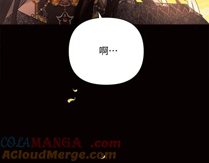 第221页