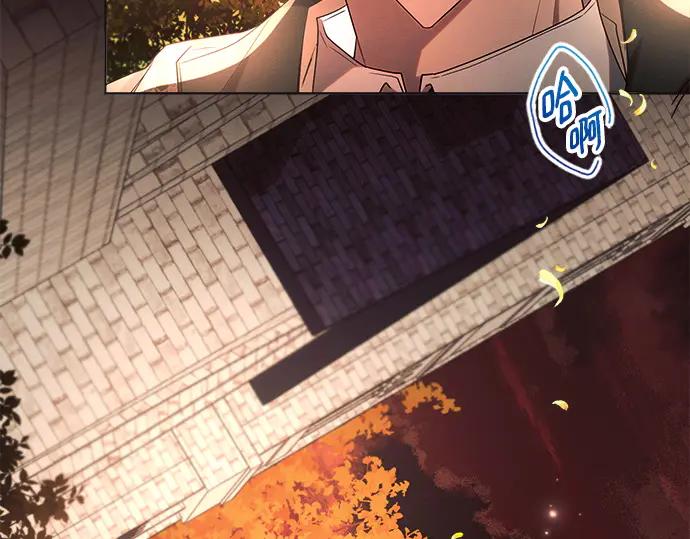 第223页