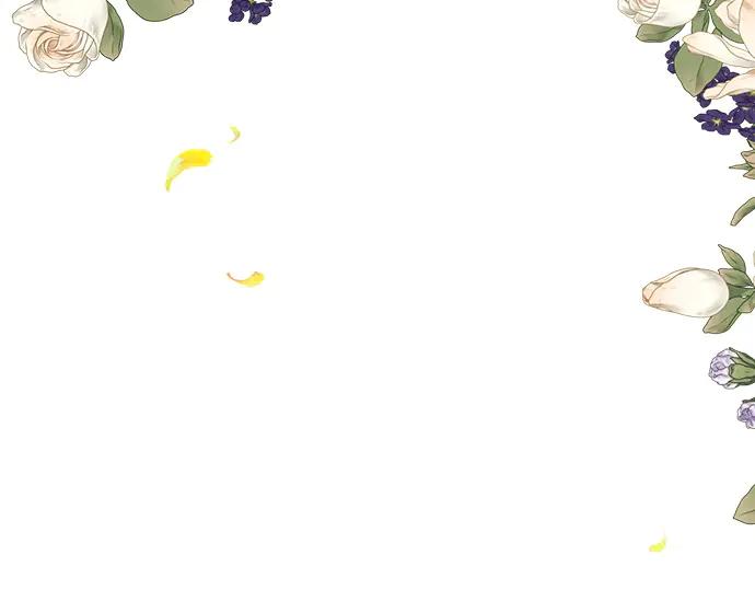 第238页