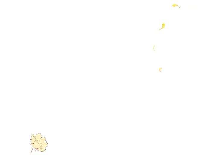 第239页