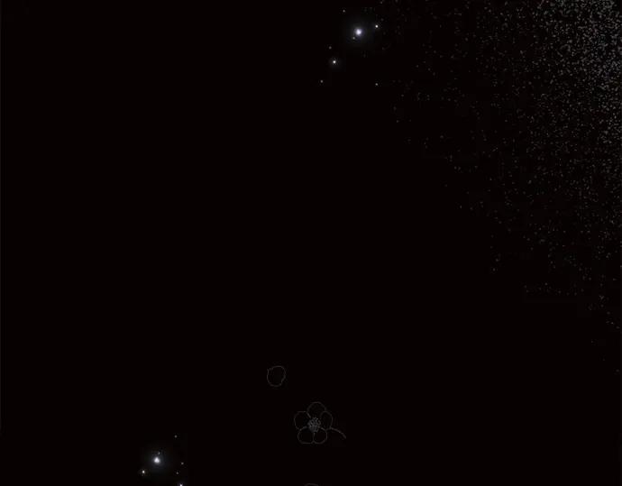 第206页