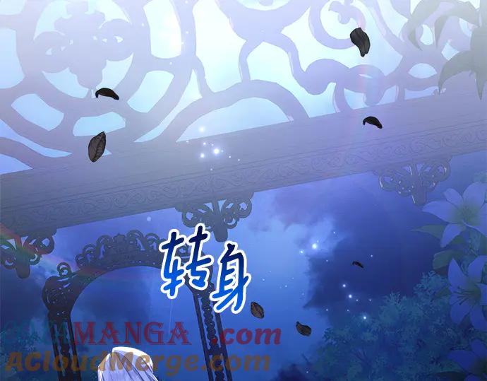 第217页
