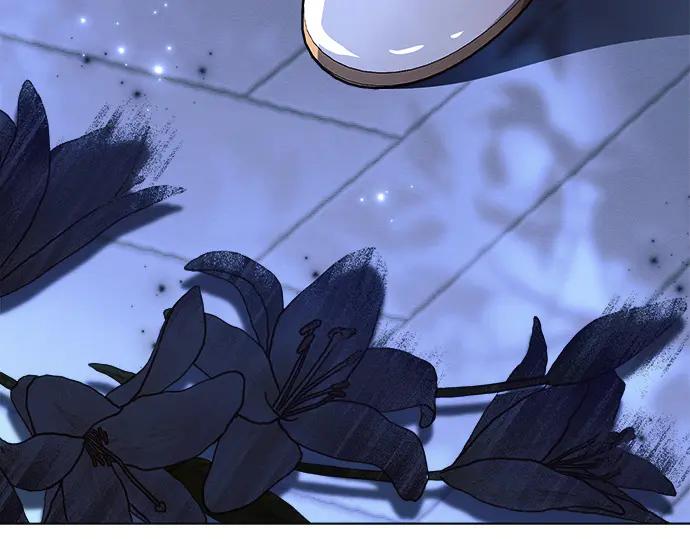 第224页