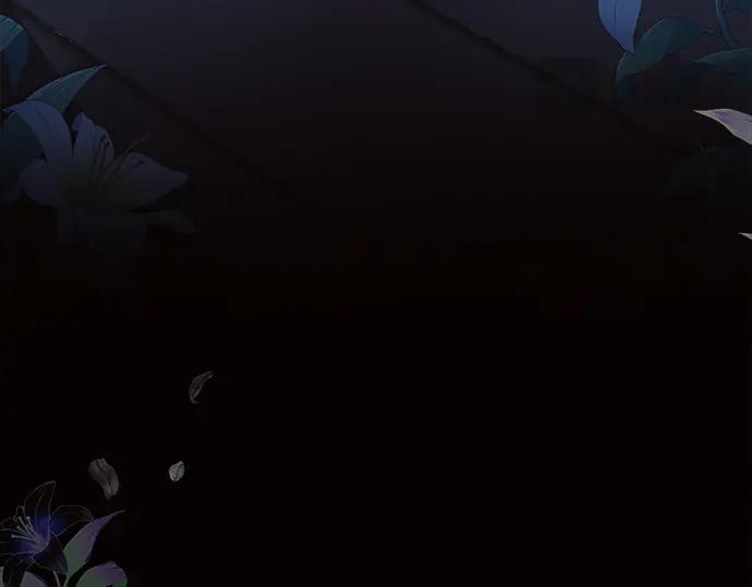 第242页