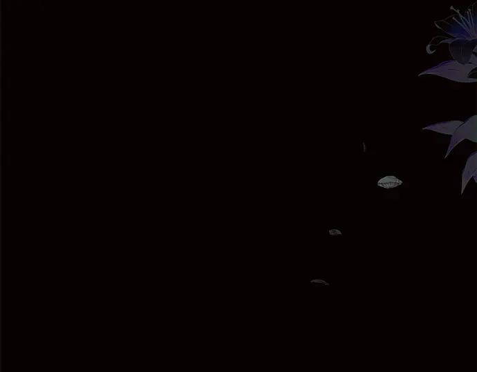 第244页