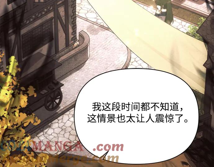 第217页