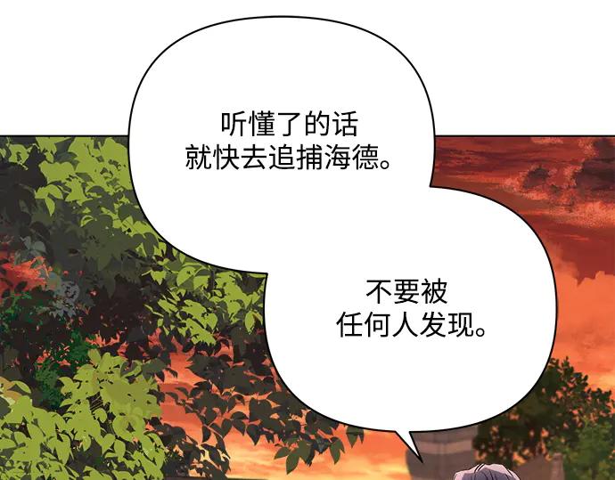第228页