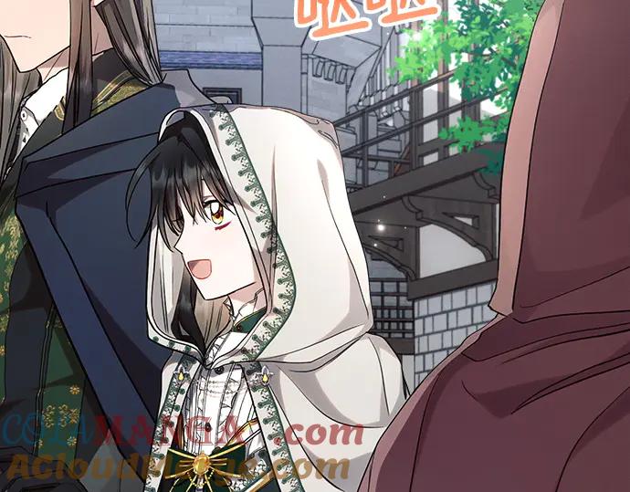 第213页