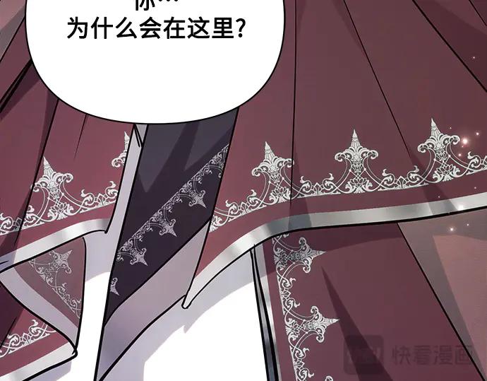 第223页