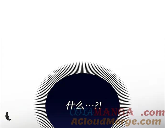 第229页