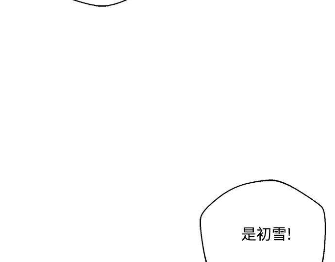 第223页