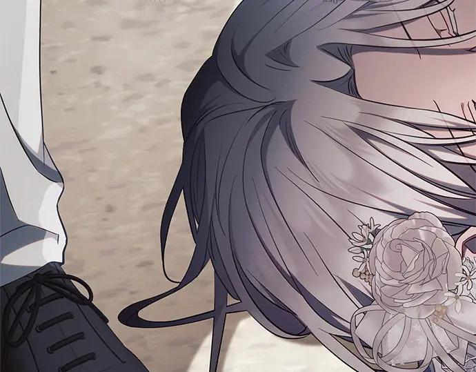 第231页