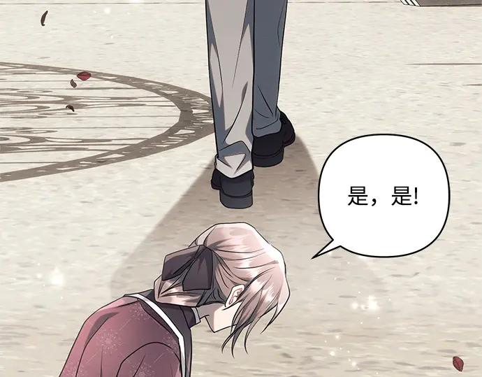 第238页