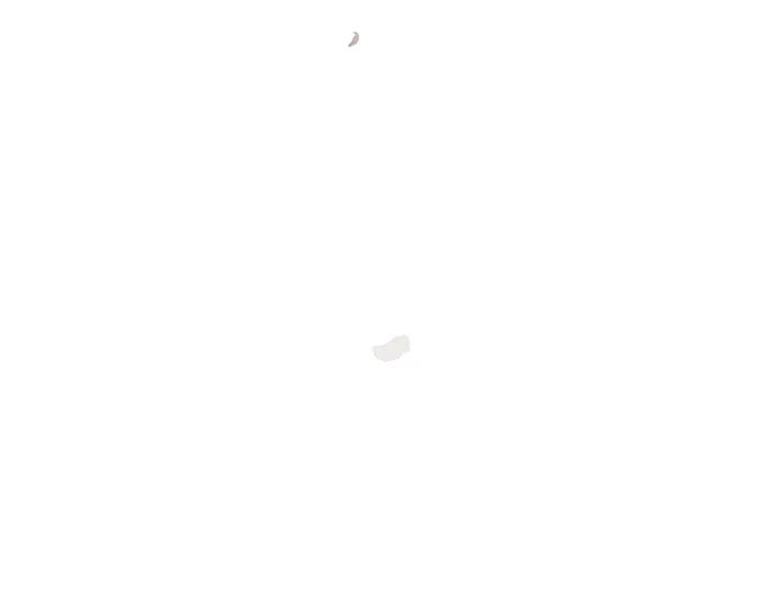 第246页