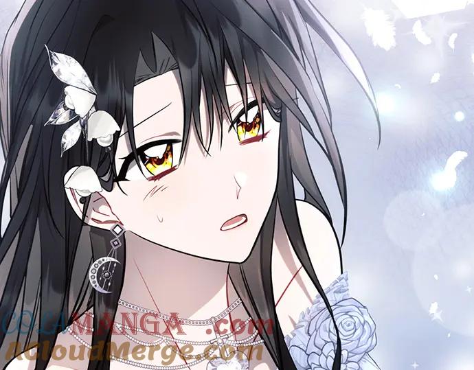 第205页