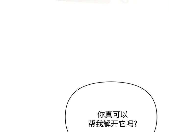 第238页