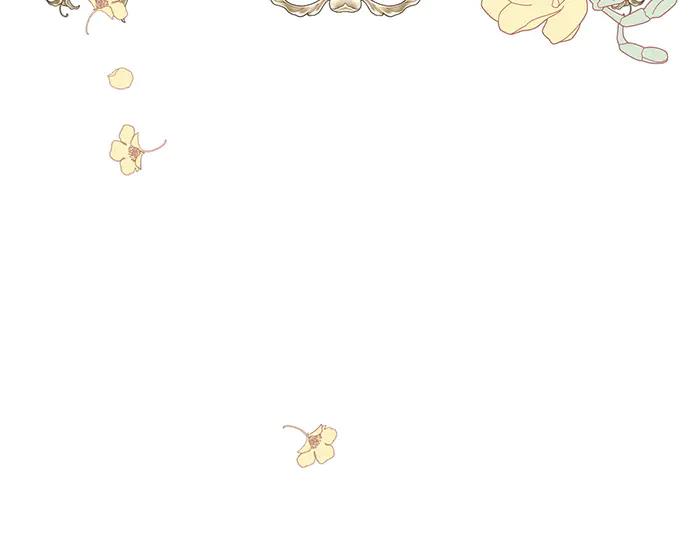 第215页