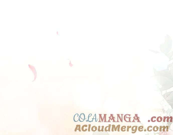 第233页