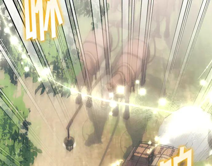 第206页