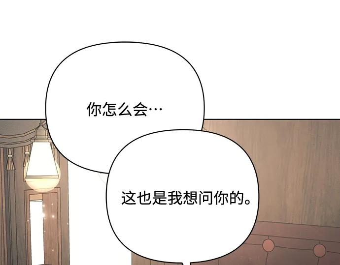 第223页