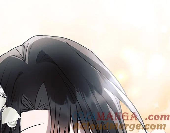 第217页