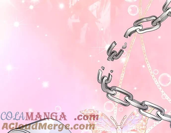 第241页