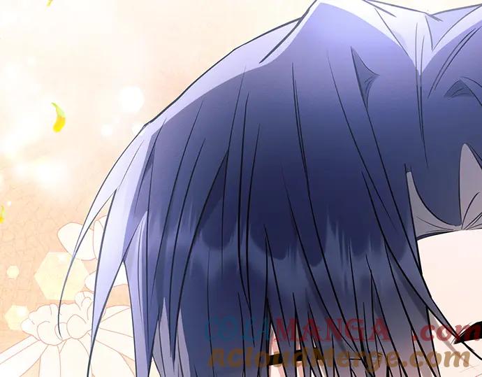 第245页