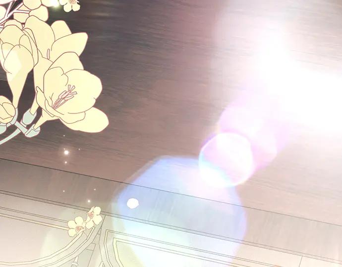 第260页