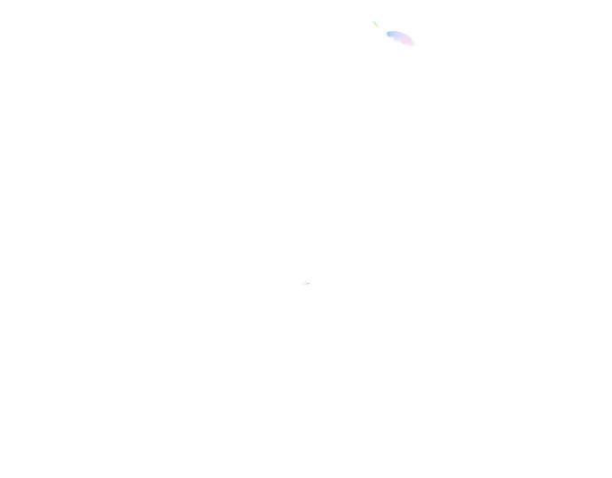 第215页