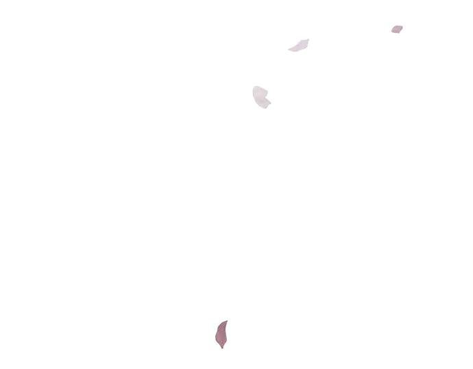 第216页