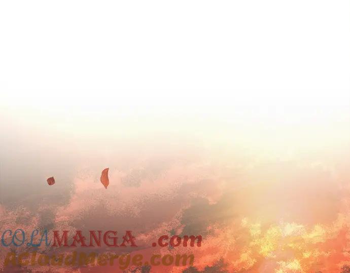 第217页
