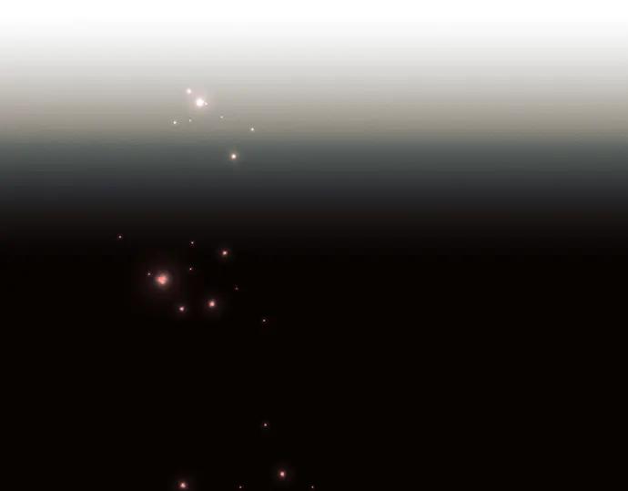 第194页