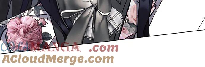 第217页