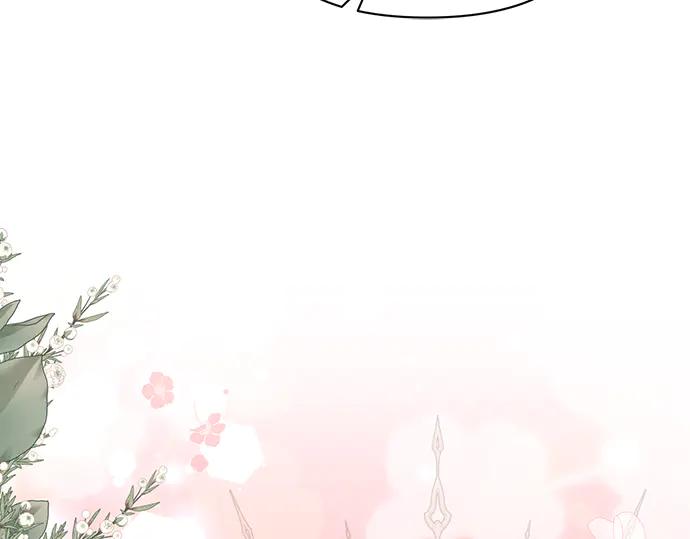 第223页