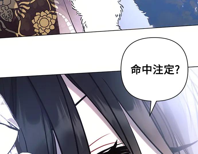 第239页
