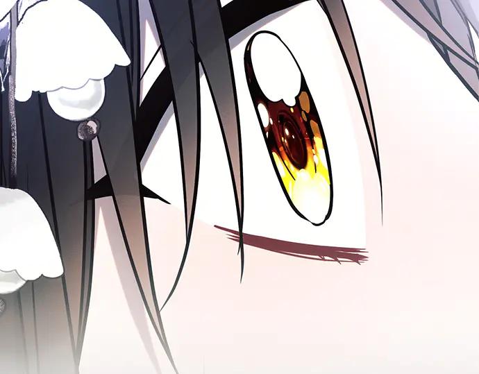 第240页