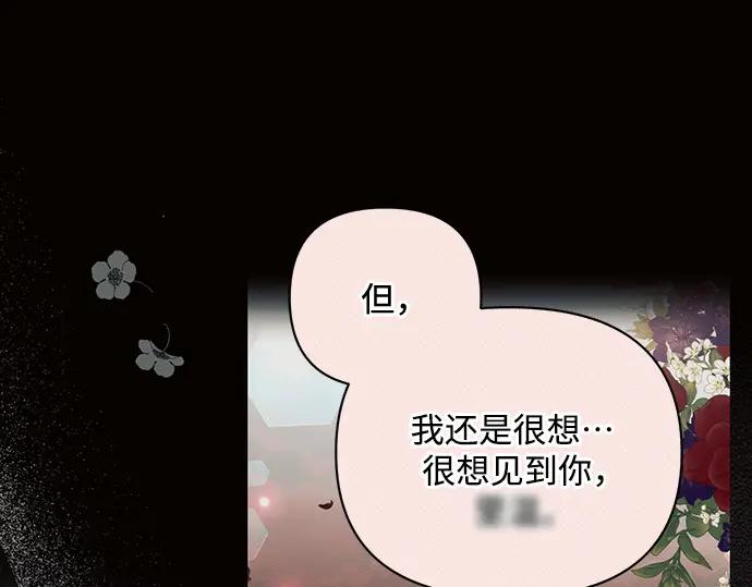 第248页