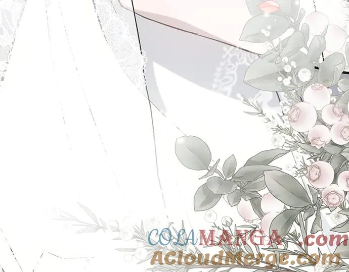 第244页