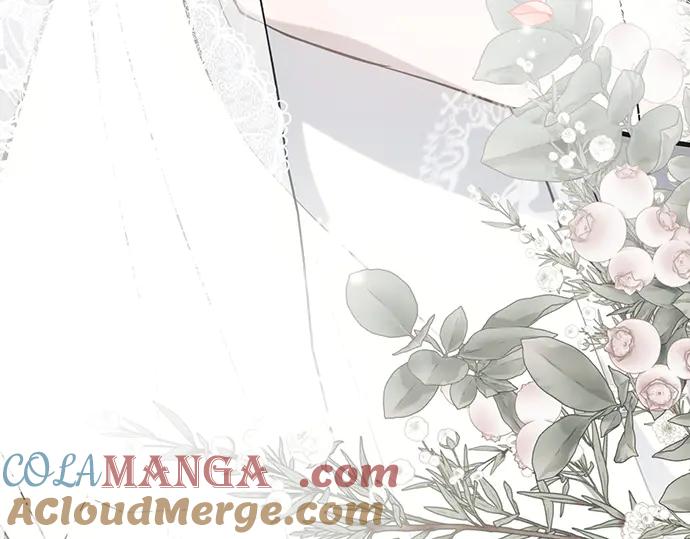 第245页