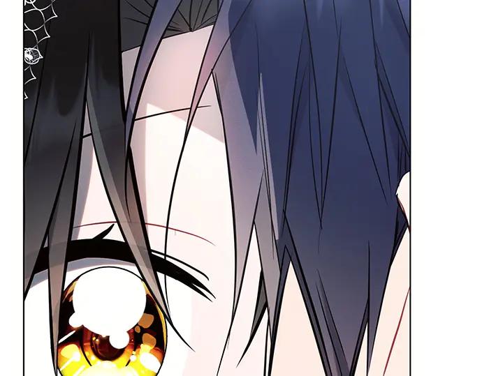 第248页