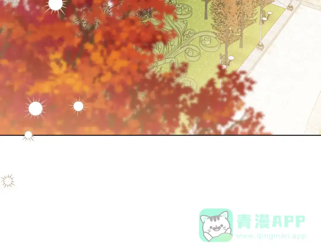 第211页