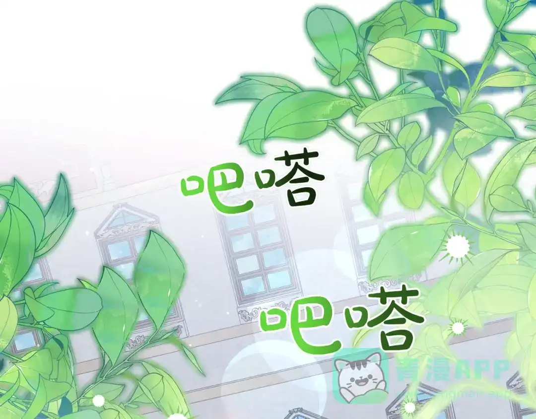 第251页