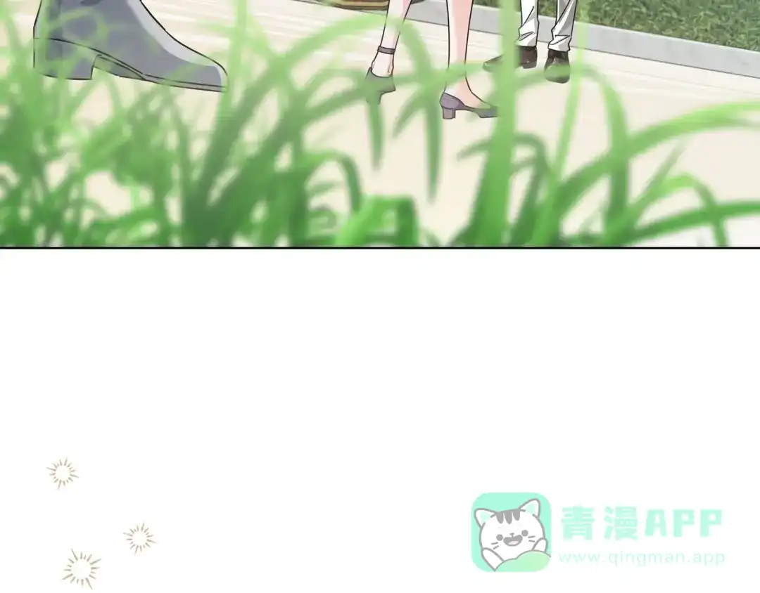 第195页