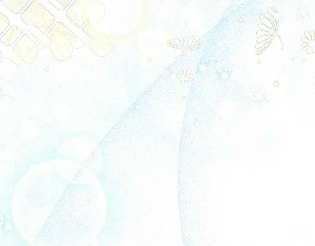 第291页