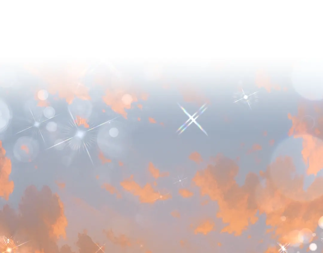 第219页