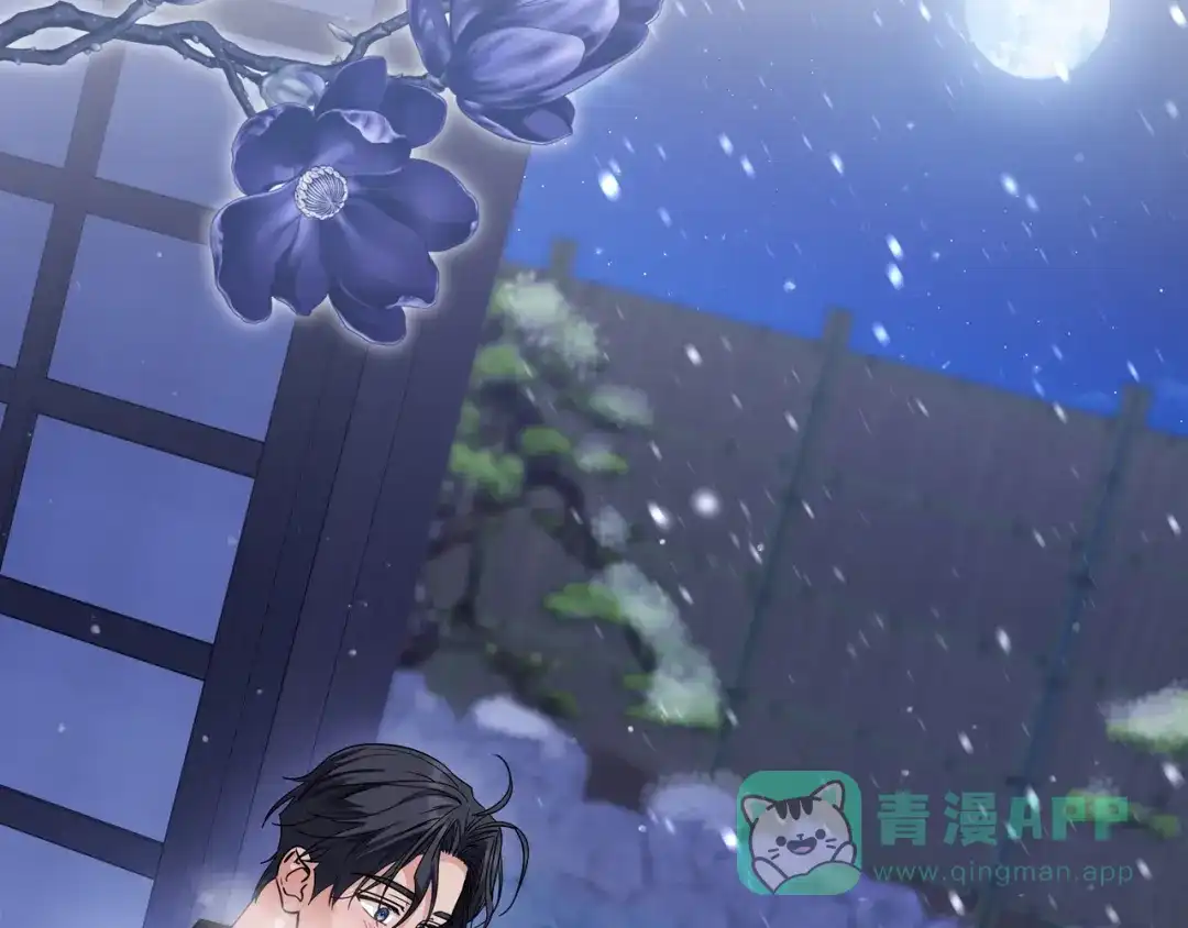 第221页
