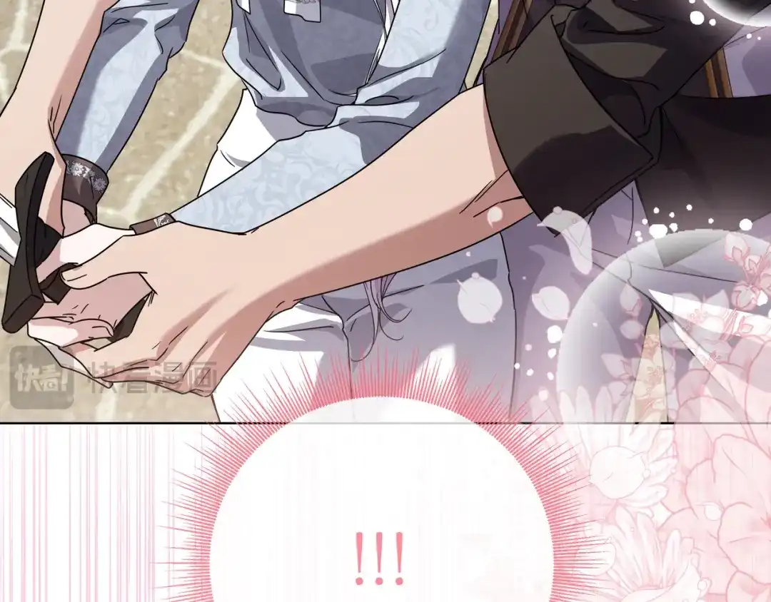 第262页