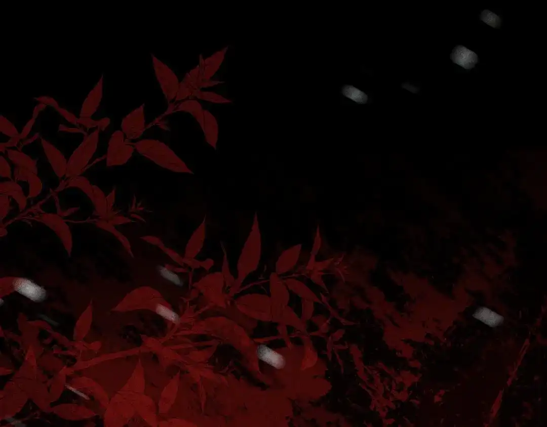 第225页