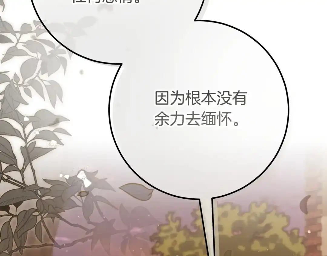 第232页