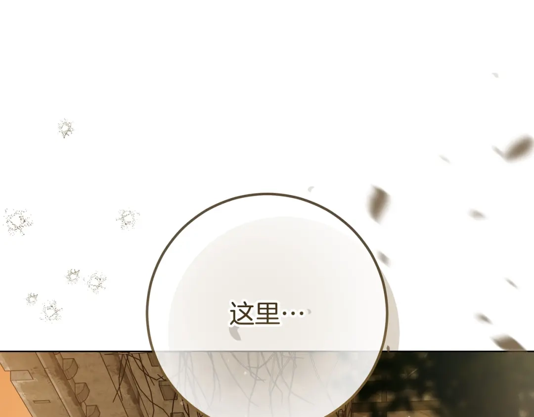 第248页